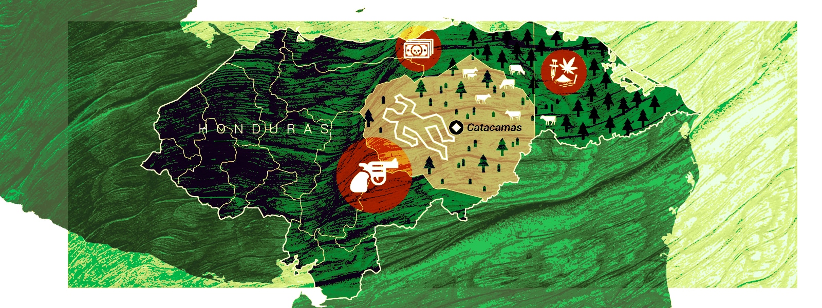The Timber Barons of Catacamas, Honduras - Vimarsana News